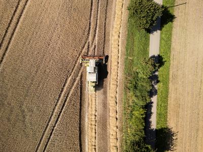 Ein M?hdrescher erntet Weizen auf einem Weizenfeld bei Rottweil. (Luftaufnahme mit einer Drohne). Rottweil Baden-W?rttem-stock-foto