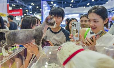 Nanning Pet Expo-stock-foto