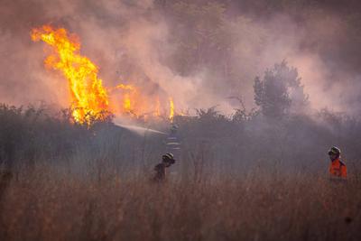 The fire is burning through the woodland in the Parco degli Acquedotti in Rome, Italy.-stock-foto