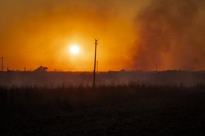 The fire is burning through the woodland in the Parco degli Acquedotti in Rome, Italy.-stock-foto