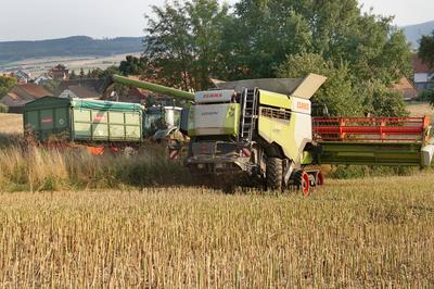 Rapsernte 2025 in Niedersachsen-stock-foto