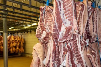 Deutschland 14. Oktober 2022: In einem Schlachthof f?r Schweine h?ngen zerlegte Teile von geschlachteten Tieren. In der-stock-foto