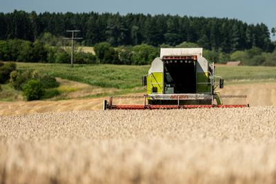 Ein M?hdrescher erntet Weizen auf einem Weizenfeld bei Rottweil. Rottweil Baden-W?rttemberg Deutschland *** A combine ha-stock-foto
