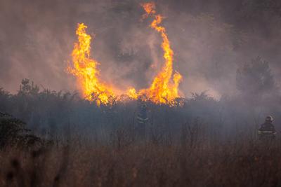 The fire is burning through the woodland in the Parco degli Acquedotti in Rome, Italy.-stock-foto