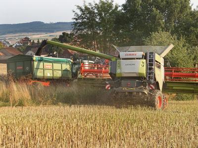 Rapsernte 2025 in Niedersachsen-stock-foto