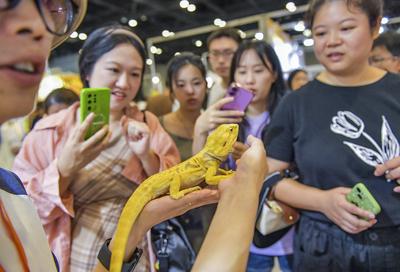 Nanning Pet Expo-stock-foto