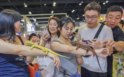 Nanning Pet Expo-stock-foto