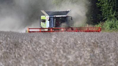 Rapsernte 2025 in Niedersachsen-stock-foto
