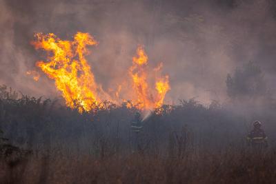 The fire is burning through the woodland in the Parco degli Acquedotti in Rome, Italy.-stock-foto