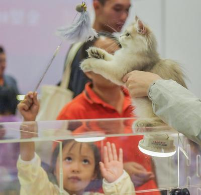 Nanning Pet Expo-stock-foto