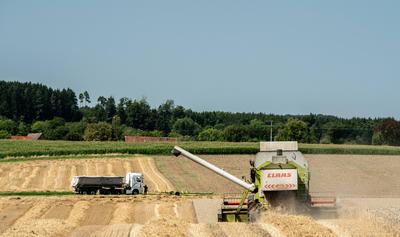 Ein M?hdrescher erntet Weizen auf einem Weizenfeld bei Rottweil. Rottweil Baden-W?rttemberg Deutschland *** A combine ha-stock-foto
