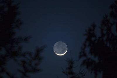 Bildnummer: 59709405  Datum: 27.05.2013  Copyright: imago/blickwinkelNeumond new moon BLWS336099 x0x xkg 2013 quer Querformat Mond Monde Vollmond Vollmonde Mondsichel Mondsicheln Sichelmond Sichelmonde Neumond Erdmond Erdtrabant Mondphase Mondphasen Astronomie Himmelskunde Himmel nur Himmel bloss Himmel Nacht Dunkelheit dunkel bei Nacht nachts naechtlich Nachtaufnahme Nachtaufnahmen im Dunkeln Nachthimmel Himmelskoerper Himmelsobjekt Himmelsobjekte astronomisches Objekt astronomische Objekte Trabant Trabanten Baumkrone Baumkronen Baumwipfel Silhouette Silhouetten Schattenriss Schattenbild Umriss horizontal format moon moons crescent moon crescent moons fingernail moon fingernail moons sickle moon sickle moons new moon phase of the moon phases of the moon astronomy sky sky only only sky night darkness dark at night nightly night shot night shots night photograph in the dark night sky outer space cosmos celestial object celestial objects astronomical object astronomical objects tree top tree tops crown crowns tree crown tree crowns silhouettes silhouetted against  59709405 Date 27 05 2013 Copyright Imago Angle New moon New Moon  x0x xkg 2013 horizontal Landscape Moon Monde Full moon Full moons Sickle moon Moons Sickle moon Sickle moons New moon Earthu0026#39;s moon Erdtrabant Moon phase Moon phases Astronomy Sky customer Heaven only Heaven only Heaven Night Darkness dark at Night at night nightly Night Night scenes in The dark Night sky Himmelskoerper Celestial object Celestial objects astronomical Object Astronomical Objects Trabant Satellites Tree crown Treetops Canopy Silhouette Silhouettes Shadow plan Silhouette Outline horizontally Format Moon moons Crescent Moon Crescent moons fingernail Moon fingernail moons Sickle Moon Sickle moons New Moon Phase of The Moon phases of The Moon Astronomy Sky Sky Only Only Sky Night Darkness Dark AT Night Nightly Night Shot Night Shots Night Photo in The Dark Night Sky Outer Space Cosmos Celestial Object Celestial Objects Astronomical Object Astronomical Objects Tree Top Tree Tops Crown Crowns Tree Crown Tree Crowns silhouettes silhouetted against-stock-foto