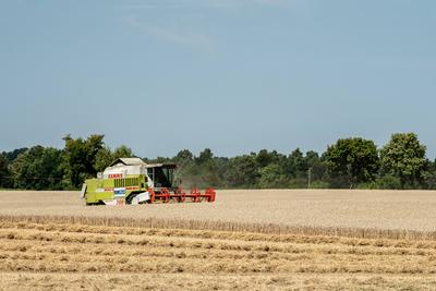 Ein M?hdrescher erntet Weizen auf einem Weizenfeld bei Rottweil. Rottweil Baden-W?rttemberg Deutschland *** A combine ha-stock-foto