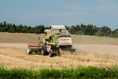 Ein M?hdrescher erntet Weizen auf einem Weizenfeld bei Rottweil. Rottweil Baden-W?rttemberg Deutschland *** A combine ha-stock-foto