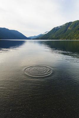 Water ring on Lake Crescent, Olympic National Park, Port Angeles, Washington State. Olympic National Park,USA,Water ring-stock-foto