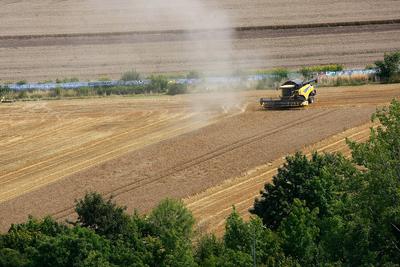 Erfurt, 07.08.2025 Getreiteernte auf einem Feld zwischen Erfurt Dittelstedt und dem Erfurter Herrenberg *** Erfurt, 07 0-stock-foto
