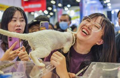 Nanning Pet Expo-stock-foto