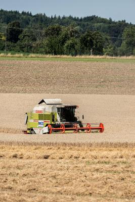 Ein M?hdrescher erntet Weizen auf einem Weizenfeld bei Rottweil. Rottweil Baden-W?rttemberg Deutschland *** A combine ha-stock-foto