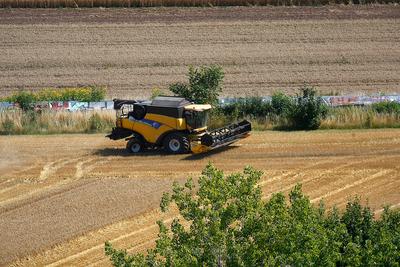 Erfurt, 07.08.2025 Getreiteernte auf einem Feld zwischen Erfurt Dittelstedt und dem Erfurter Herrenberg *** Erfurt, 07 0-stock-foto
