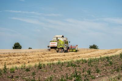 Ein M?hdrescher erntet Weizen auf einem Weizenfeld bei Rottweil. Rottweil Baden-W?rttemberg Deutschland *** A combine ha-stock-foto