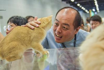 Nanning Pet Expo-stock-foto