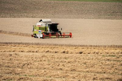Ein M?hdrescher erntet Weizen auf einem Weizenfeld bei Rottweil. Rottweil Baden-W?rttemberg Deutschland *** A combine ha-stock-foto