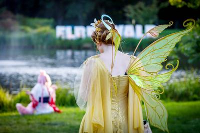 Elbenwaldfestival Cottbus-stock-foto