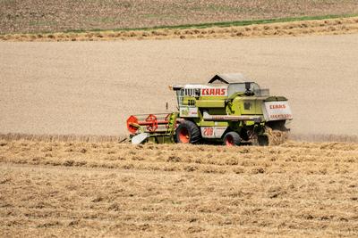 Ein M?hdrescher erntet Weizen auf einem Weizenfeld bei Rottweil. Rottweil Baden-W?rttemberg Deutschland *** A combine ha-stock-foto