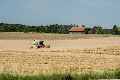 Ein M?hdrescher erntet Weizen auf einem Weizenfeld bei Rottweil. Rottweil Baden-W?rttemberg Deutschland *** A combine ha-stock-foto