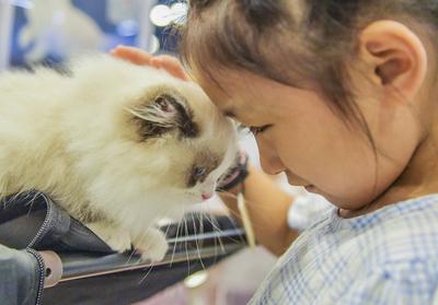 Nanning Pet Expo-stock-foto