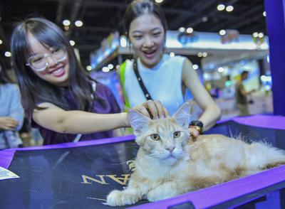 Nanning Pet Expo-stock-foto