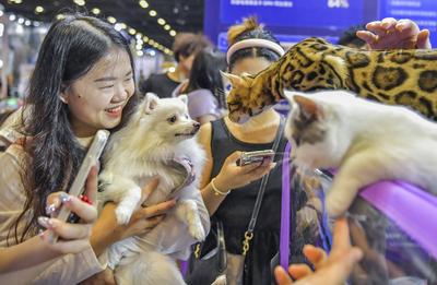 Nanning Pet Expo-stock-foto