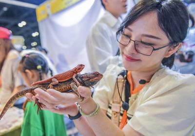 Nanning Pet Expo-stock-foto