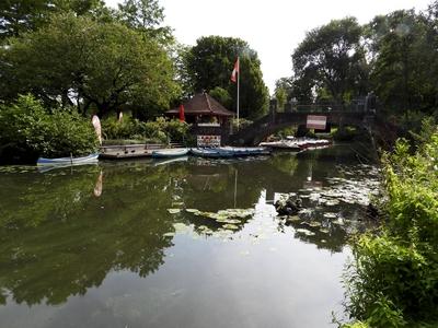 cntv Im Hamburger Stadtparksee und in den zufuehrenden Kanael der Alster sind vermehrt Blaualgen aufgetreten so das die Beh?rde offiziell davor warnt. Blaualgen Alarm im Hamburger Stadtparksee die Beh?rde warnt es sind Uebelkeit, Erbrechen, Durchfall und Hautreizungen moeglich 09.August 2025 Hamburg Deutschland *** cntv In the Hamburg Stadtparksee and in the canals leading to the Alster, blue-green algae have increased so that the authority officially warns against it Blue-green algae alarm in the Hamburg Stadtparksee the authority warns that nausea, vomiting, diarrhea and skin irritation are possible 09 August 2025 Hamburg Germany-stock-foto