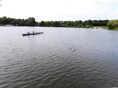 cntv Im Hamburger Stadtparksee und in den zufuehrenden Kanael der Alster sind vermehrt Blaualgen aufgetreten so das die Beh?rde offiziell davor warnt. Blaualgen Alarm im Hamburger Stadtparksee die Beh?rde warnt es sind Uebelkeit, Erbrechen, Durchfall und Hautreizungen moeglich 09.August 2025 Hamburg Deutschland *** cntv In the Hamburg Stadtparksee and in the canals leading to the Alster, blue-green algae have increased so that the authority officially warns against it Blue-green algae alarm in the Hamburg Stadtparksee the authority warns that nausea, vomiting, diarrhea and skin irritation are possible 09 August 2025 Hamburg Germany-stock-foto