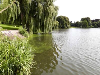 cntv Im Hamburger Stadtparksee und in den zufuehrenden Kanael der Alster sind vermehrt Blaualgen aufgetreten so das die Beh?rde offiziell davor warnt. Blaualgen Alarm im Hamburger Stadtparksee die Beh?rde warnt es sind Uebelkeit, Erbrechen, Durchfall und Hautreizungen moeglich 09.August 2025 Hamburg Deutschland *** cntv In the Hamburg Stadtparksee and in the canals leading to the Alster, blue-green algae have increased so that the authority officially warns against it Blue-green algae alarm in the Hamburg Stadtparksee the authority warns that nausea, vomiting, diarrhea and skin irritation are possible 09 August 2025 Hamburg Germany-stock-foto