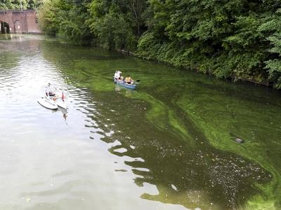 cntv Im Hamburger Stadtparksee und in den zufuehrenden Kanael der Alster sind vermehrt Blaualgen aufgetreten so das die Beh?rde offiziell davor warnt. Blaualgen Alarm im Hamburger Stadtparksee die Beh?rde warnt es sind Uebelkeit, Erbrechen, Durchfall und Hautreizungen moeglich 09.August 2025 Hamburg Deutschland *** cntv In the Hamburg Stadtparksee and in the canals leading to the Alster, blue-green algae have increased so that the authority officially warns against it Blue-green algae alarm in the Hamburg Stadtparksee the authority warns that nausea, vomiting, diarrhea and skin irritation are possible 09 August 2025 Hamburg Germany-stock-foto