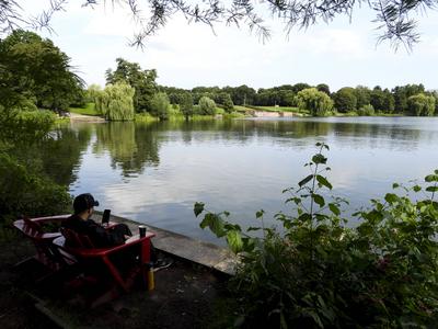 cntv Im Hamburger Stadtparksee und in den zufuehrenden Kanael der Alster sind vermehrt Blaualgen aufgetreten so das die Beh?rde offiziell davor warnt. Blaualgen Alarm im Hamburger Stadtparksee die Beh?rde warnt es sind Uebelkeit, Erbrechen, Durchfall und Hautreizungen moeglich 09.August 2025 Hamburg Deutschland *** cntv In the Hamburg Stadtparksee and in the canals leading to the Alster, blue-green algae have increased so that the authority officially warns against it Blue-green algae alarm in the Hamburg Stadtparksee the authority warns that nausea, vomiting, diarrhea and skin irritation are possible 09 August 2025 Hamburg Germany-stock-foto