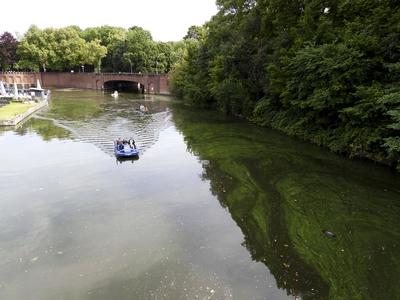 cntv Im Hamburger Stadtparksee und in den zufuehrenden Kanael der Alster sind vermehrt Blaualgen aufgetreten so das die Beh?rde offiziell davor warnt. Blaualgen Alarm im Hamburger Stadtparksee die Beh?rde warnt es sind Uebelkeit, Erbrechen, Durchfall und Hautreizungen moeglich 09.August 2025 Hamburg Deutschland *** cntv In the Hamburg Stadtparksee and in the canals leading to the Alster, blue-green algae have increased so that the authority officially warns against it Blue-green algae alarm in the Hamburg Stadtparksee the authority warns that nausea, vomiting, diarrhea and skin irritation are possible 09 August 2025 Hamburg Germany-stock-foto