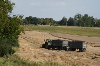 Uckermark GER, Deutschland, 20250810,Uckermark, M?hdrescher *** Uckermark GER, Germany, 20250810,Uckermark, combine harv-stock-foto