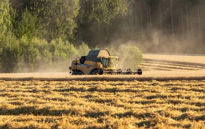 Temperaturen von weit ?ber 30 Grad erwartet ? Nach niederschlagsreichem Juli, Sonne satt derzeit bundesweit ? Landwirte k?nnen ihre Ernte einfahren-stock-foto
