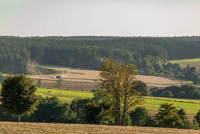 Temperaturen von weit ?ber 30 Grad erwartet ? Nach niederschlagsreichem Juli, Sonne satt derzeit bundesweit ? Landwirte k?nnen ihre Ernte einfahren-stock-foto