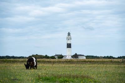 Leuchtturm Kampen ? genannt Langer Christian ? historische Bezeichnung Rotes Kliff ? wei?-schwarz bemalter gro?er Kampener Leuchtturm auf der Nordseeinsel Sylt im Sommer 2025-stock-foto