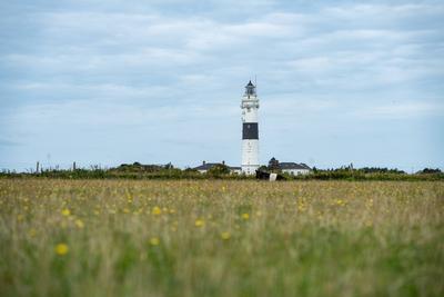 Leuchtturm Kampen ? genannt Langer Christian ? historische Bezeichnung Rotes Kliff ? wei?-schwarz bemalter gro?er Kampener Leuchtturm auf der Nordseeinsel Sylt im Sommer 2025-stock-foto