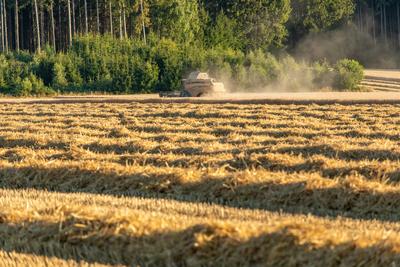 Temperaturen von weit ?ber 30 Grad erwartet ? Nach niederschlagsreichem Juli, Sonne satt derzeit bundesweit ? Landwirte k?nnen ihre Ernte einfahren-stock-foto