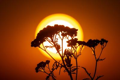 Sonnenuntergang im Taunus-stock-foto