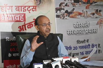 BJP Leader Vijay Goel Address Press Conference Regarding Stray Dogs Issue-stock-foto