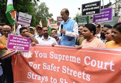BJP Leader Vijay Goel Leads RWAs Rally Thanks SC For Order On Stray Dogs-stock-foto