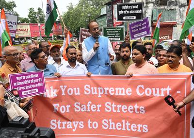 BJP Leader Vijay Goel Leads RWAs Rally Thanks SC For Order On Stray Dogs-stock-foto