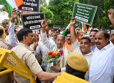 BJP Leader Vijay Goel Leads RWAs Rally Thanks SC For Order On Stray Dogs-stock-foto
